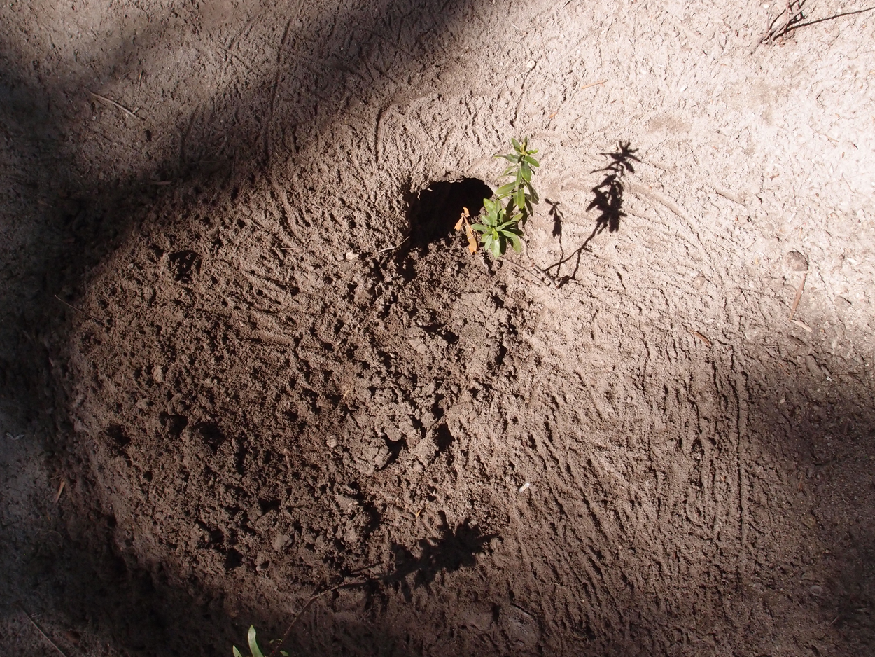 2015-10-07 04 Sand (Foto)